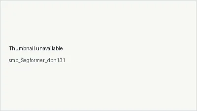 smp_Segformer_dpn131 architecture thumbnail