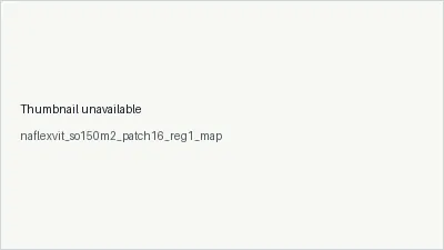 naflexvit_so150m2_patch16_reg1_map architecture thumbnail